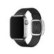 Ремешок Modern Buckle Leather для Apple Watch 42/44/45/49 mm Black/Silver купить