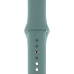 Ремінець Silicone Sport Band для Apple Watch 42mm | 44mm | 45mm | 49mm Cactus розмір S купити