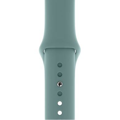 Ремінець Silicone Sport Band для Apple Watch 42mm | 44mm | 45mm | 49mm Cactus розмір S купити