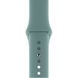 Ремінець Silicone Sport Band для Apple Watch 42mm | 44mm | 45mm | 49mm Cactus розмір S