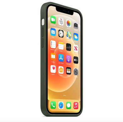 Чохол Silicone Case Full OEM для iPhone 12 MINI Cyprus Green купити