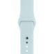 Ремінець Silicone Sport Band для Apple Watch 42mm | 44mm | 45mm | 49mm Turquoise розмір S