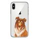 Чехол прозрачный Print Dogs для iPhone X | XS Colly Brown купить