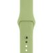 Ремінець Silicone Sport Band для Apple Watch 38mm | 40mm | 41mm Avocado розмір S купити
