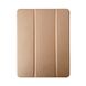 Чехол Smart Case+Stylus для iPad 10 10.9 ( 2022 ) Gold