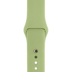 Ремінець Silicone Sport Band для Apple Watch 42mm | 44mm | 45mm | 49mm Avocado розмір S купити