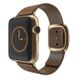 Ремешок Modern Buckle Leather для Apple Watch 42/44/45/49 mm Brown/Gold