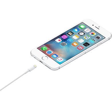 Кабель Lightning to USB Cable (0.5 m) White купити