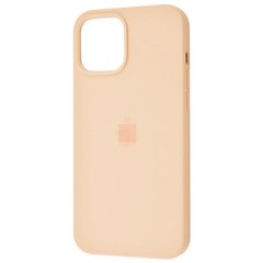 Чехол Silicone Case Full для iPhone 16 Plus Cantaloupe