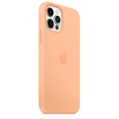 Чехол Silicone Case Full OEM для iPhone 12 | 12 PRO Cantaloupe - ash-mobile.com.ua - фото 2