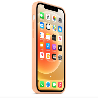 Чехол Silicone Case Full OEM для iPhone 12 | 12 PRO Cantaloupe - ash-mobile.com.ua - фото 3