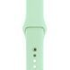 Ремешок Silicone Sport Band для Apple Watch 42mm | 44mm | 45mm | 46mm | 49mm Pistachio розмір L