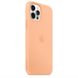 Чехол Silicone Case Full OEM для iPhone 12 | 12 PRO Cantaloupe