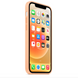 Чехол Silicone Case Full OEM для iPhone 12 | 12 PRO Cantaloupe